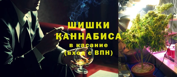 шишки Алексин