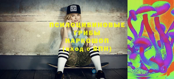 шишки Алексин