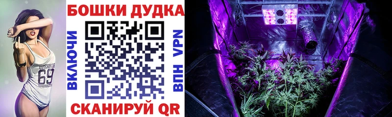 МЕГА как войти  Славск  Конопля ГИДРОПОН 